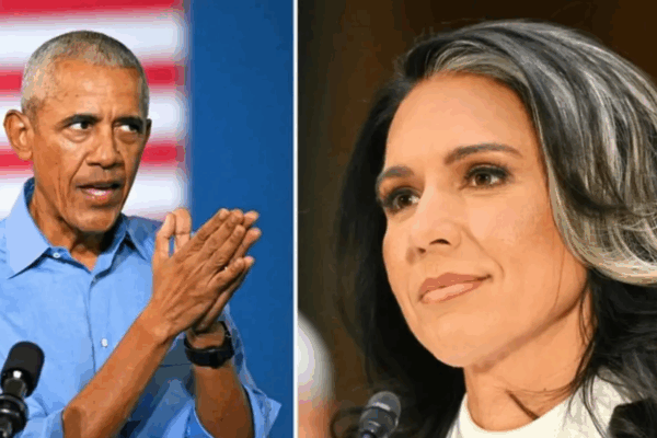 Gabbard: Whistleblowers Ready to Expose Obama Plot!